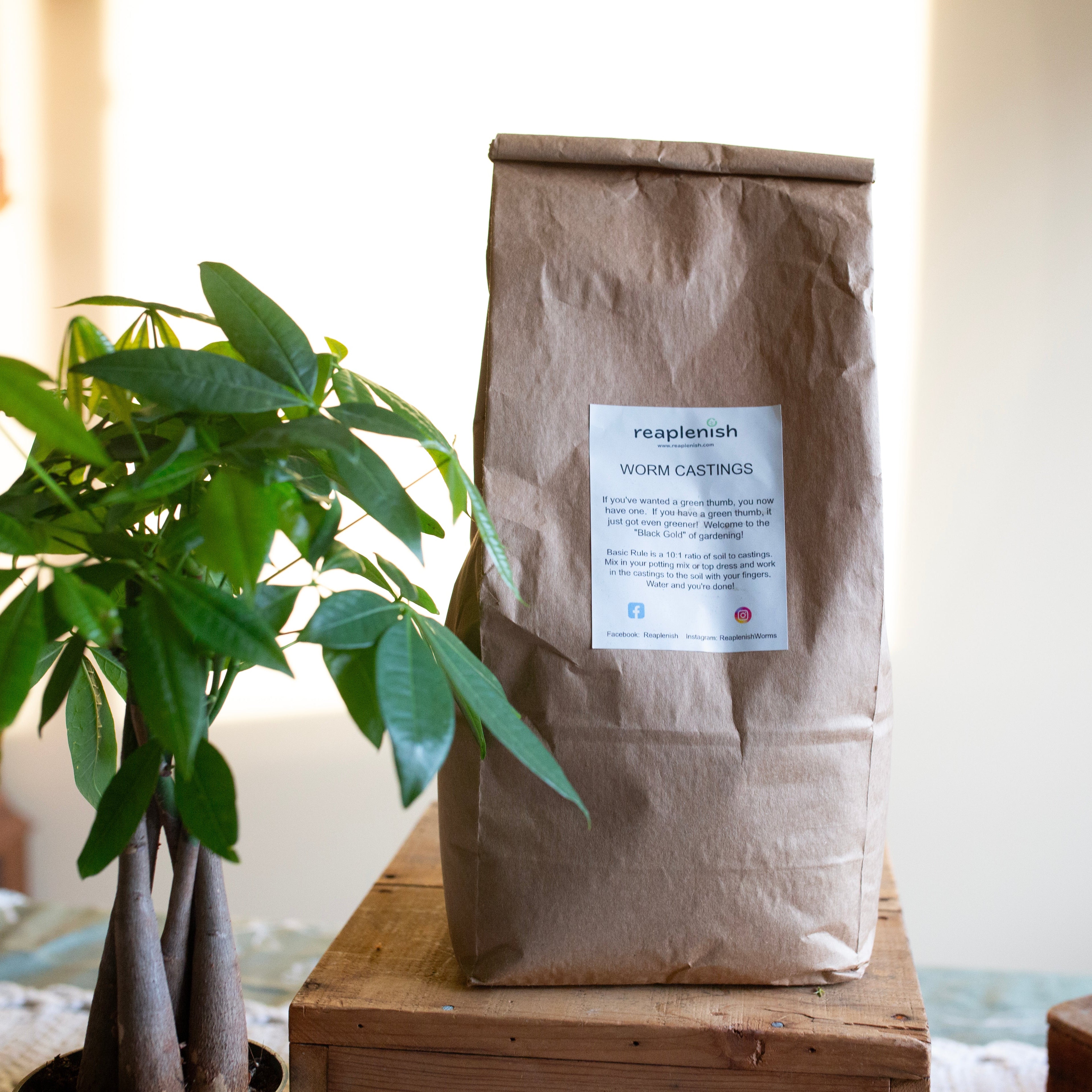 Brown paper bag with a informative label about worm castings on a wooden surface next to a plant
