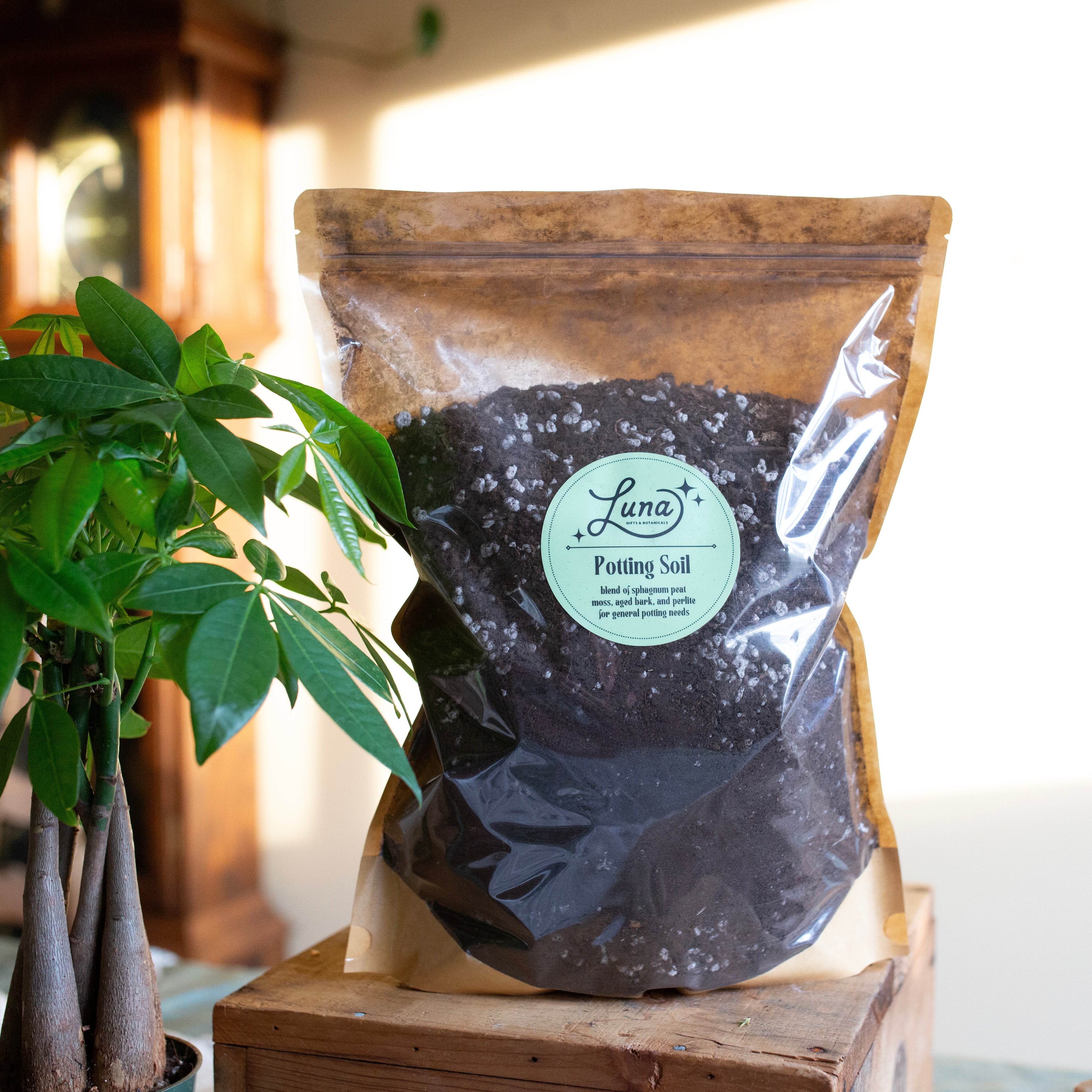 Luna Large Potting Soil Bag on a wooden surface with a money tree plant in the foreground