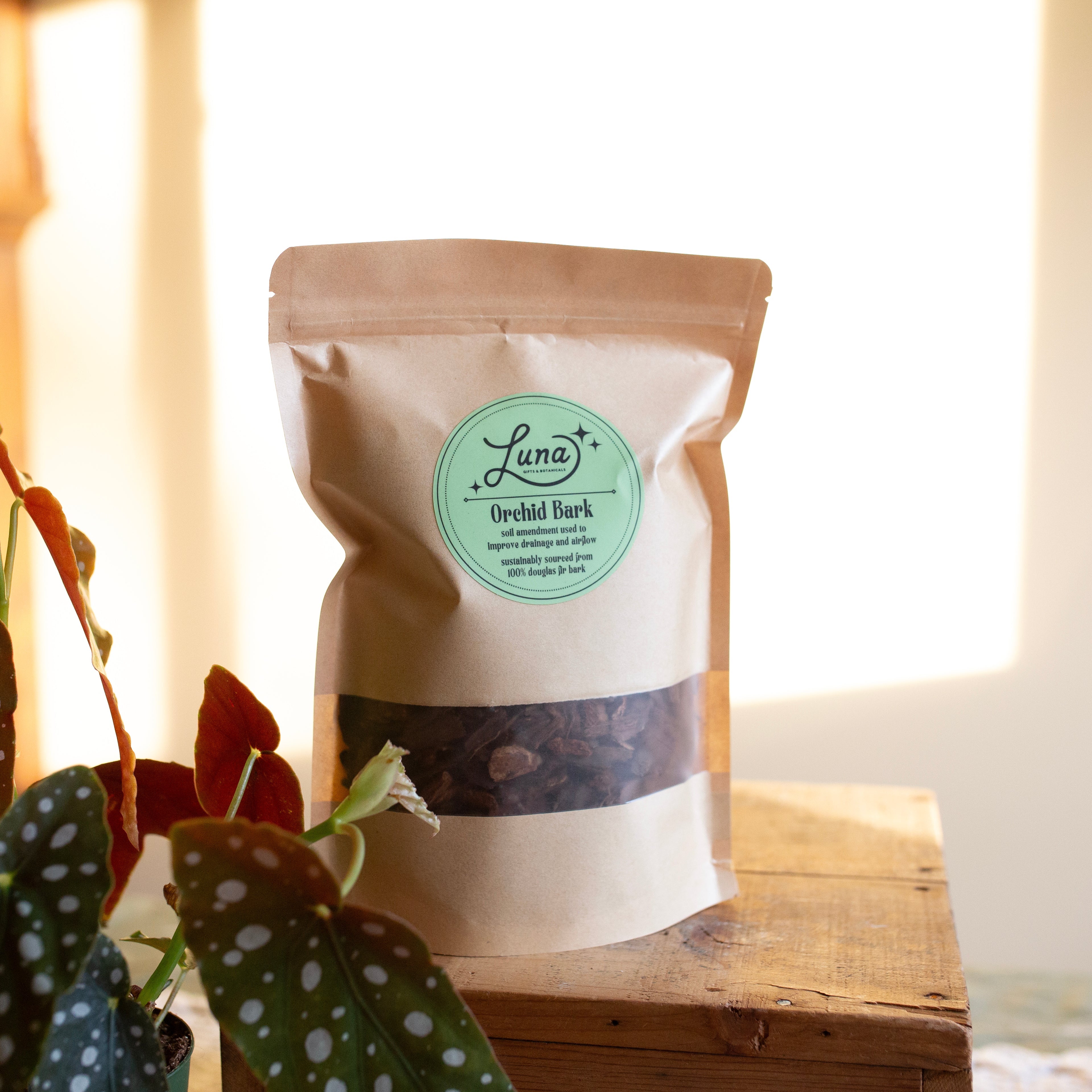 Bag full of orchid bark, plant with spots sitting up front, blurred background