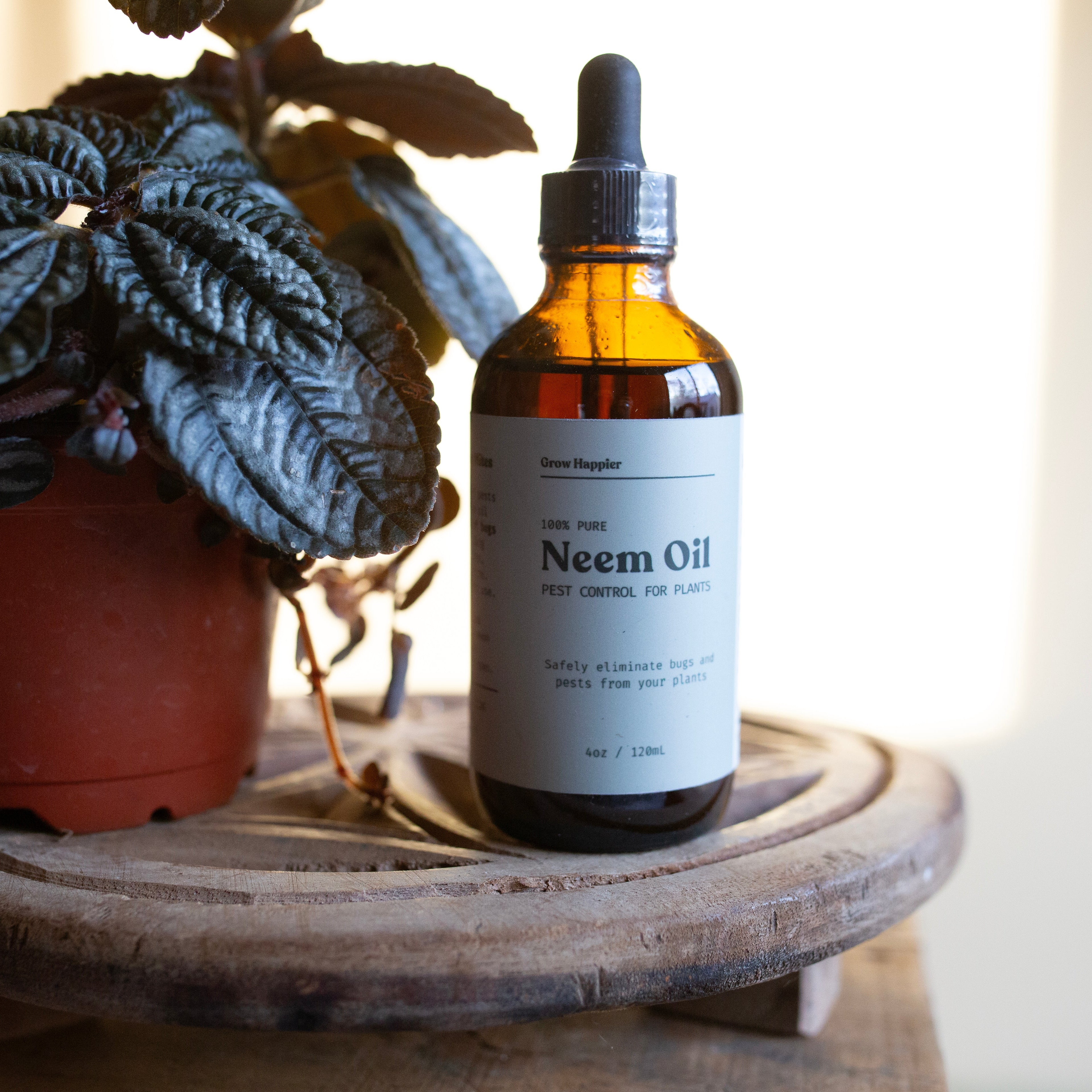 Bottle of Neem oil on a wooden surface with a plant in the background