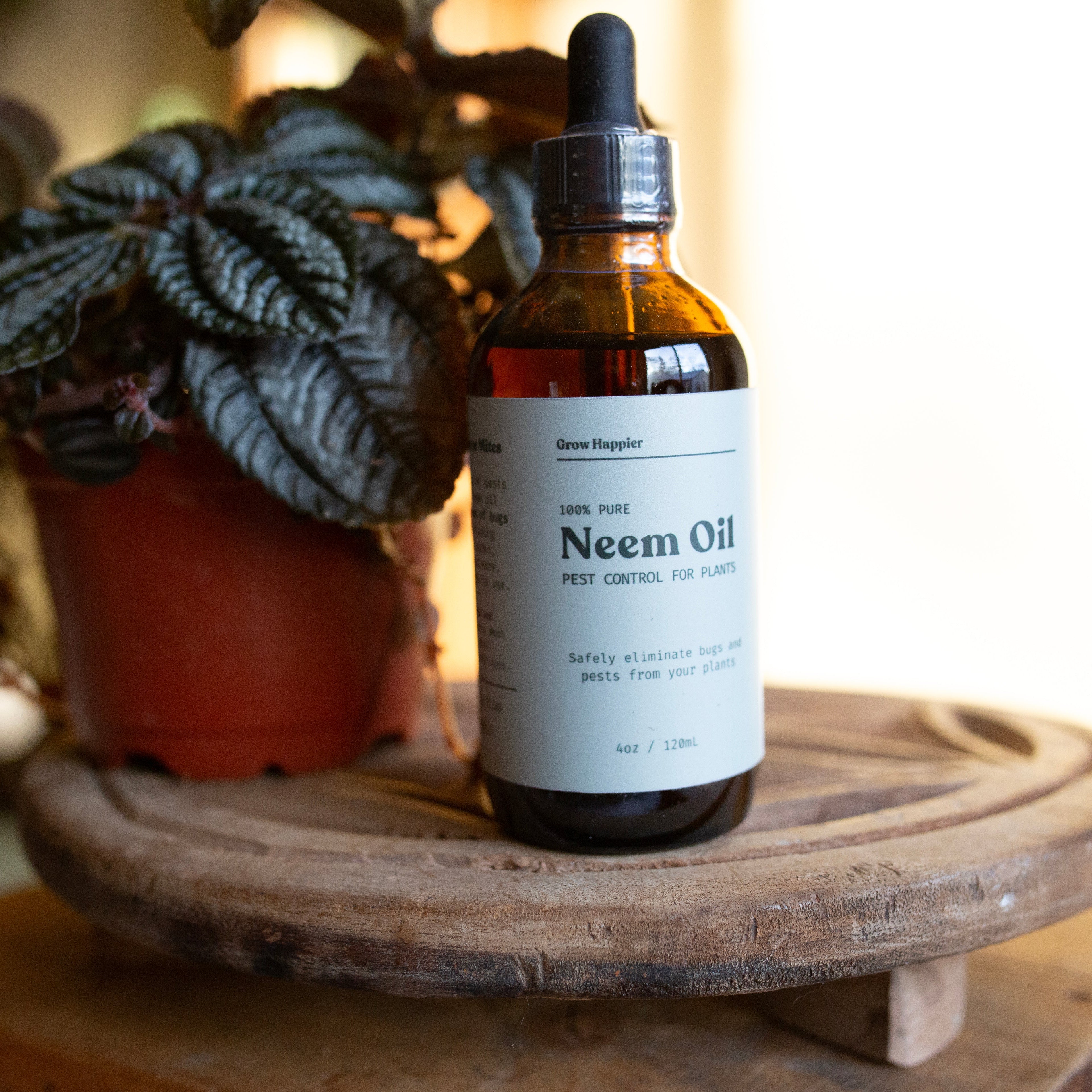Bottle of Neem oil on a wooden surface with a plant in the background