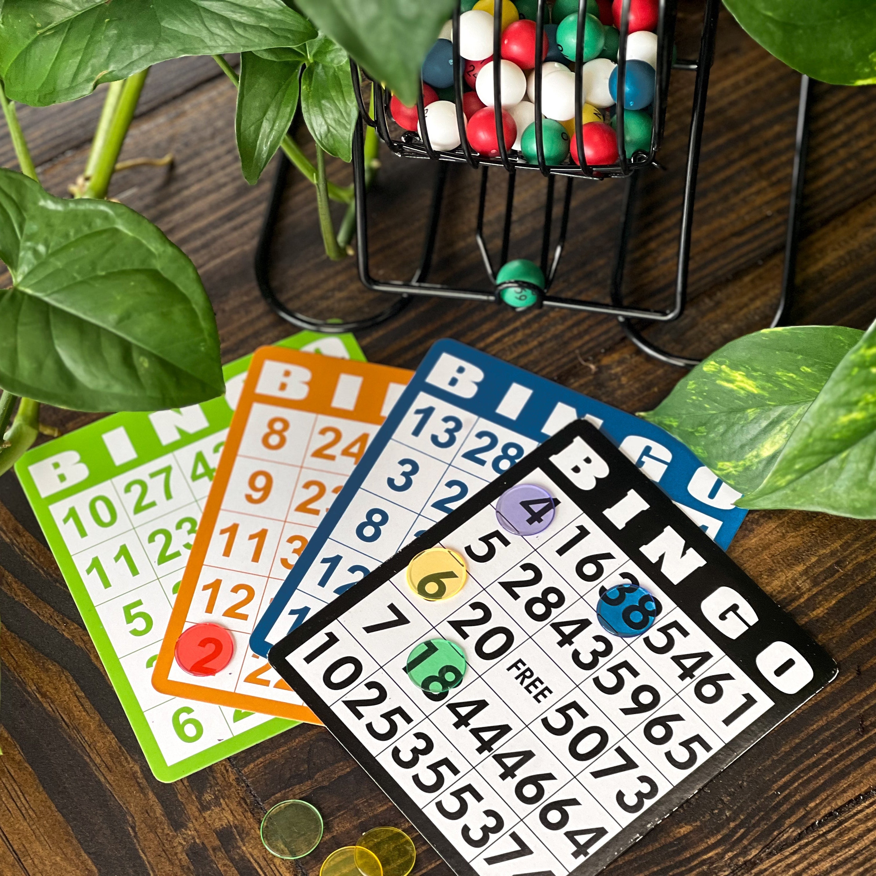 6.10 | Plant Bingo