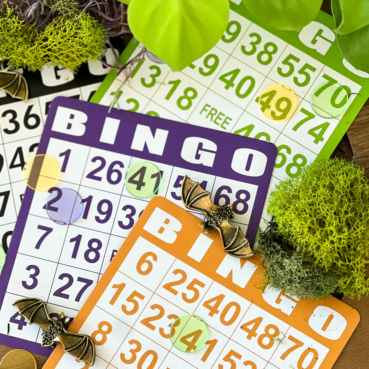 10.27 | Halloween Plant Bingo