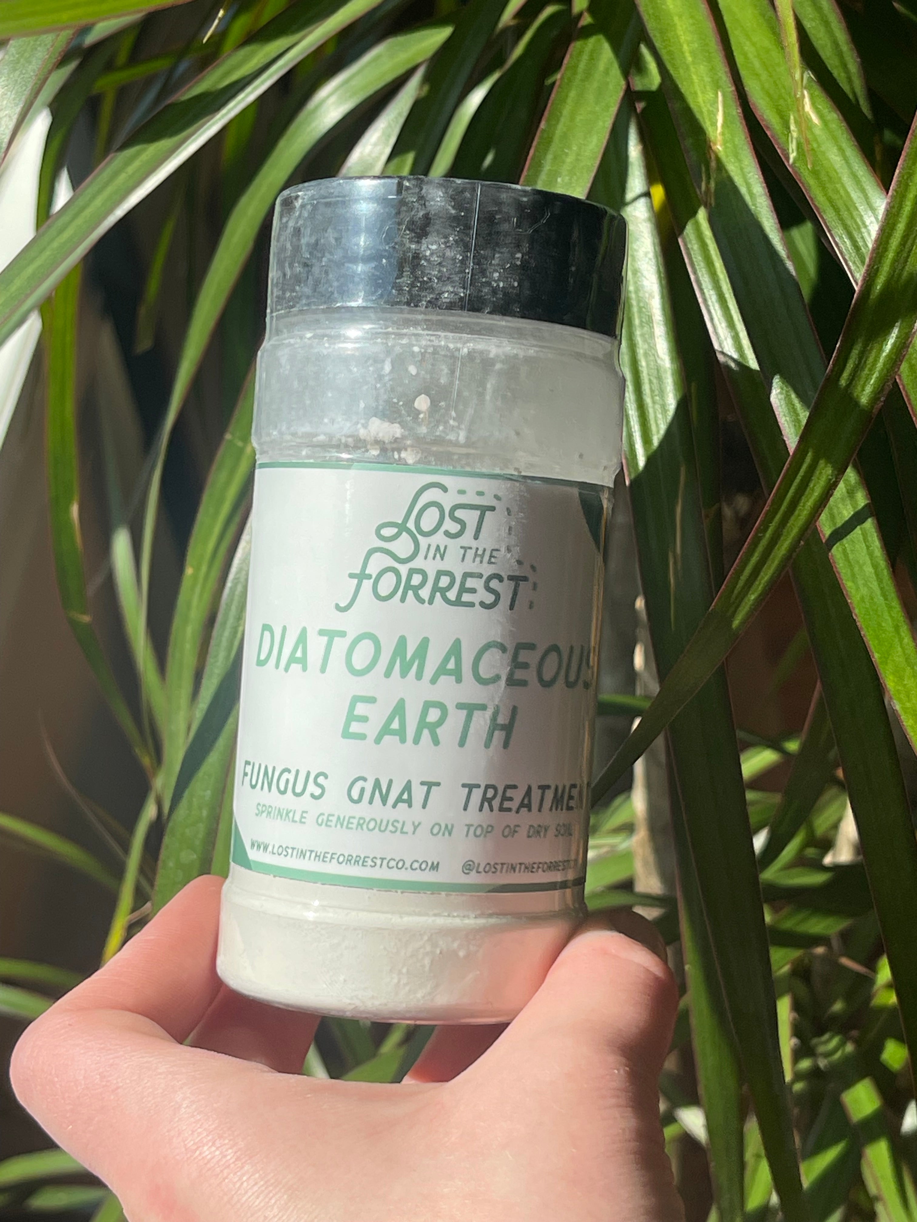 Diatomaceous Earth Fungus Gnat Treatment