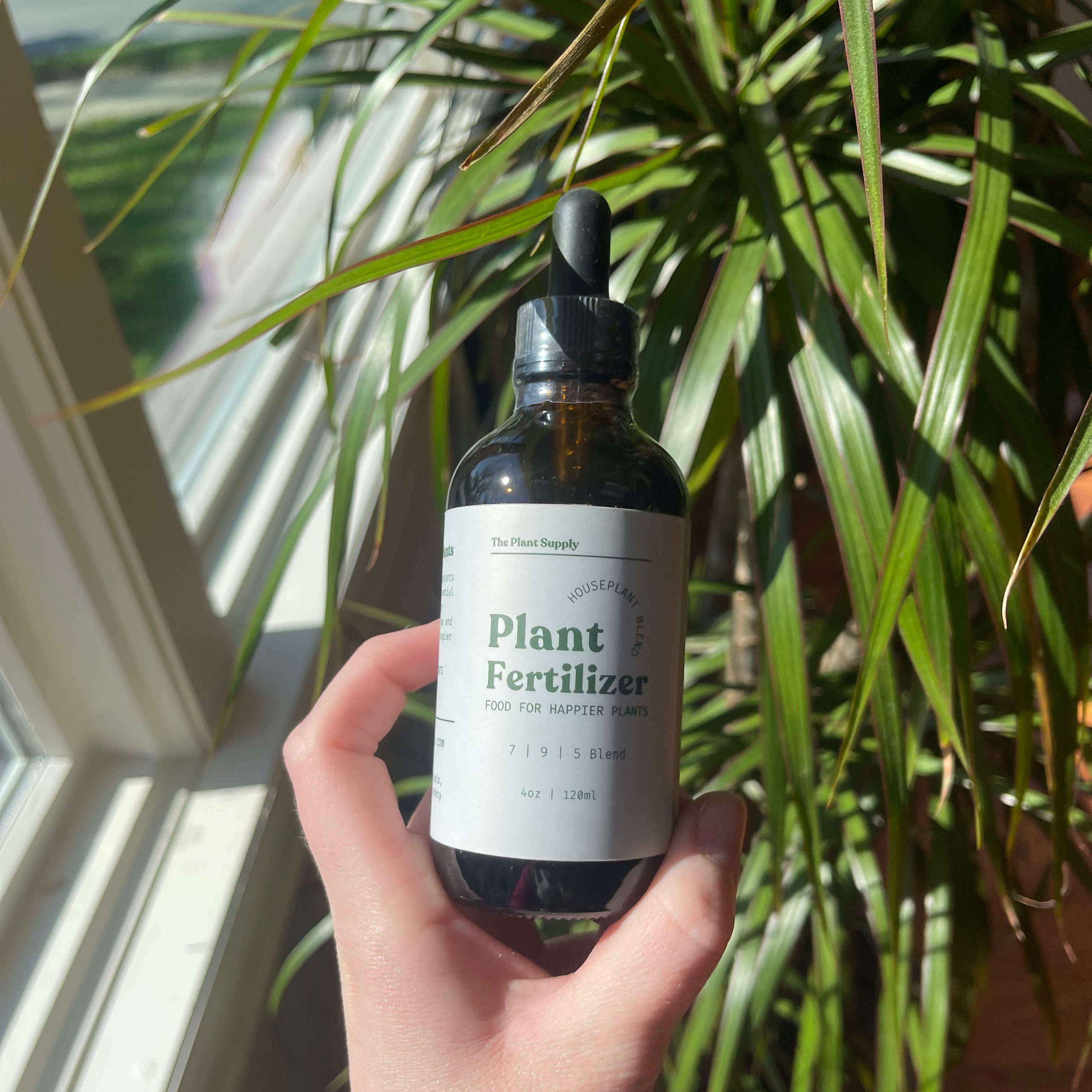 Hand holding a bottle of plant fertilizer next to a plant