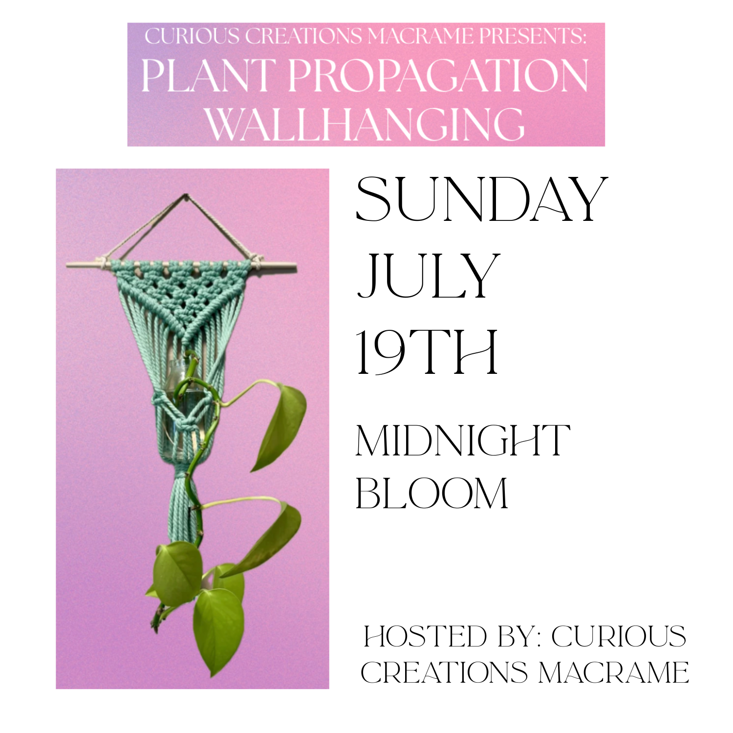 7.19 | Curious Creations Macrame Workshop